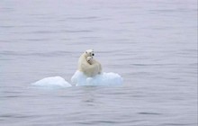北极圈32℃，这个地球的空调正在瘫痪……